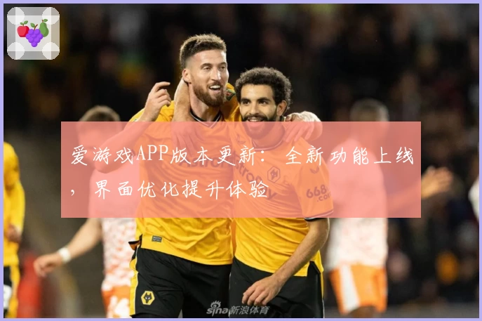 爱游戏APP版本更新：全新功能上线，界面优化提升体验
